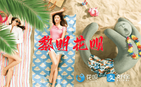老态龙钟花呗